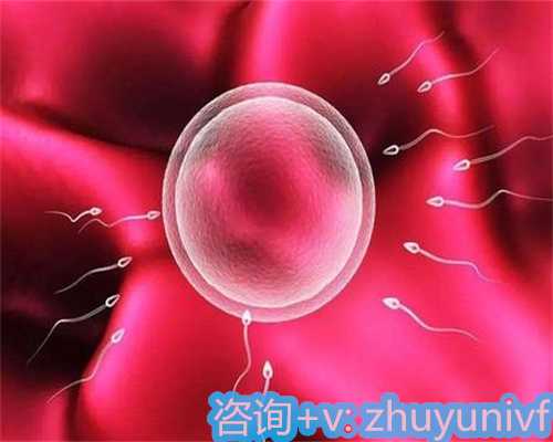 53岁供卵经期饮食指南：莱阳梨是否适合食用