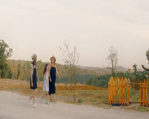 申请供卵流程时长解析，精准流量合作助力助孕选择