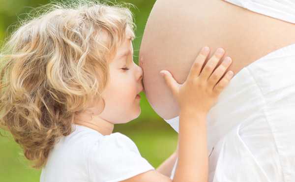 金蝉养殖卵枝采集与孵化技术指南